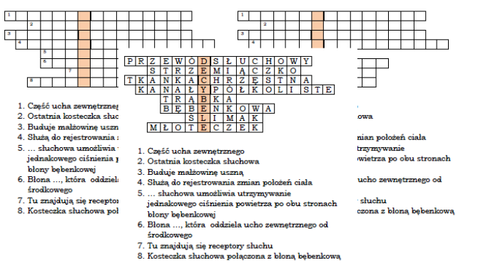 Logogryf na podsumowanie lekcji biologii w klasie 7 o uchu