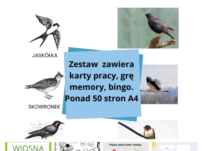Karty pracy o tematyce wiosennej - symetria, budowa rośliny, bociana, wiosenne kwiaty, kodowanie itd.