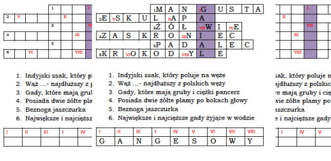 Przegląd i znaczenie gadów- logogryf