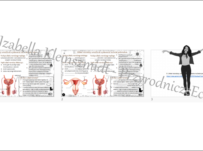 Minizestaw na temat „Układ rozrodczy umożliwia wydawanie na świat potomstwa” – sketchnotka + karta pracy w power point + gratisowy link do prezentacji multimedialnej niekomercyjnej wykonanej w genial.ly do indywidualnego pobrania i użycia do celów niekom