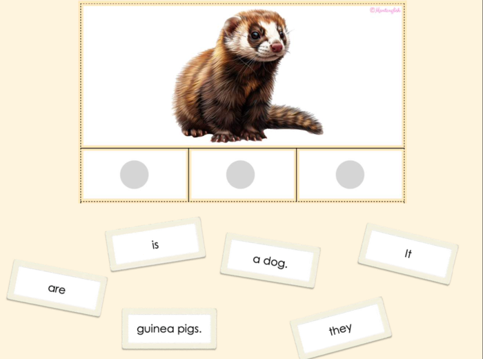 Karty 'It is' vs 'They are': sentence making (Pets vocab)