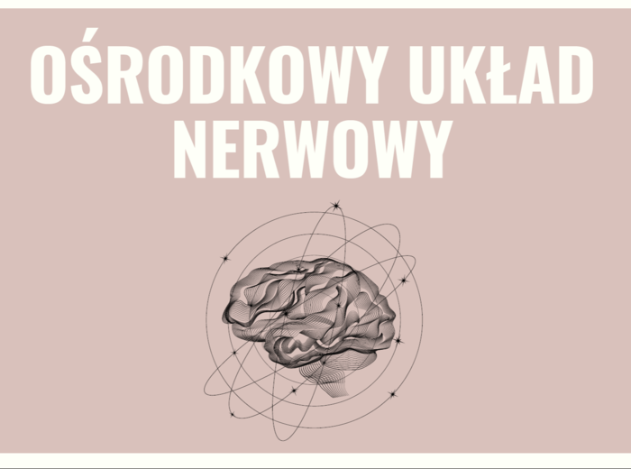 Ośrodkowy układ nerwowy 3 KLASA ROZSZERZENIE BIOLOGIA