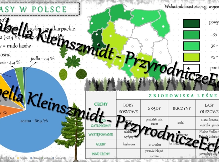 Sketchnotka - notatka „Lasy w Polsce” wykonana w power point do edycji. Geografia 7; „Środowisko przyrodnicze Polski”