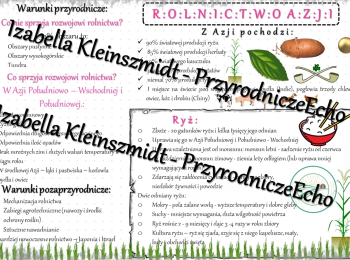 Sketchnotka - notatka „Rolnictwo Azji” wykonana w power point do edycji. Geografia 8; „Azja”