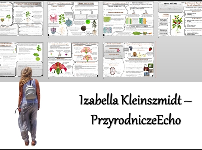 Zestaw sketchnotek/notatek/streszczeń/wklejek/ściąg dla ucznia i nauczyciela w pdf. Biologia 5 dział „Tkanki i organy roślinne”. Notatki zostały wykonane na podstawie podręcznika z wydawnictwa WSiP.