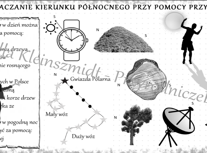 Sketchnotka „Wyznaczanie kierunku północnego przy pomocy przyrody” w power point do edycji, PRZYRODA do klasy 4 – dział I „Poznajemy warsztat przyrodnika”