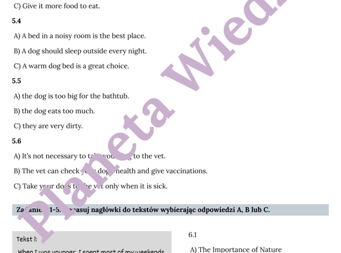 CZYTANIE ZE ZROZUMIENIEM – E8 – Zbiór zadań do egzaminu ósmoklasisty z języka angielskiego. Poziom A2/A2+ – uzupełnienie luk w tekstach, prawda/fałsz, uporządkowywanie zdarzeń, zrozumienie kontekstu zdania