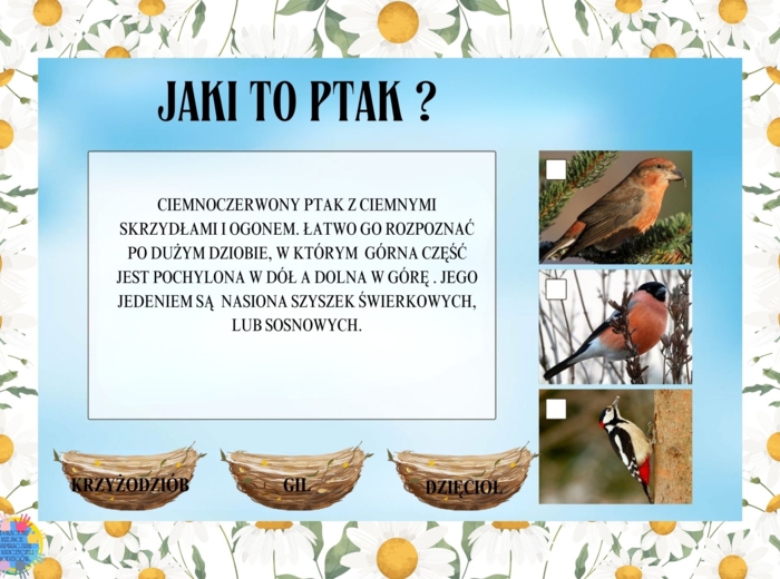 DZIEŃ PTAKÓW - EDUKACYJNA PRZYGODA DLA DZIECI