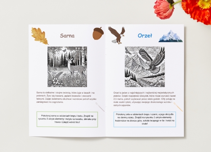 Kolorowanki. Zwierzęta