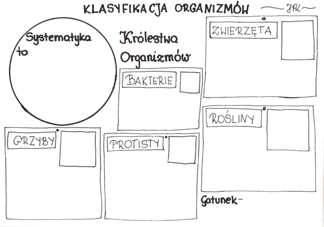 Klasyfikacja organizmów (karta pracy)