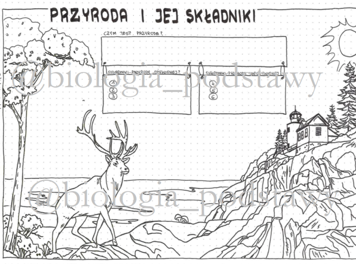 Klasa 4 - Przyroda i jej składniki - KP