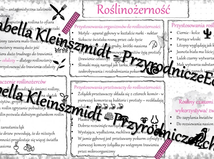 Sketchnotka - notatka „Roślinożerność” wykonana w power point do edycji. Biologia 8; „EKOLOGIA”