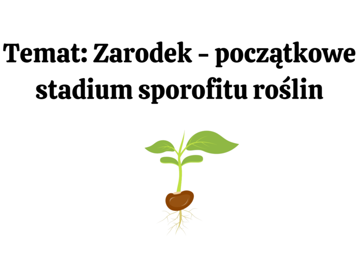 nasiono + korzeń KLASA 2 BIOLOGIA ROZSZERZONA