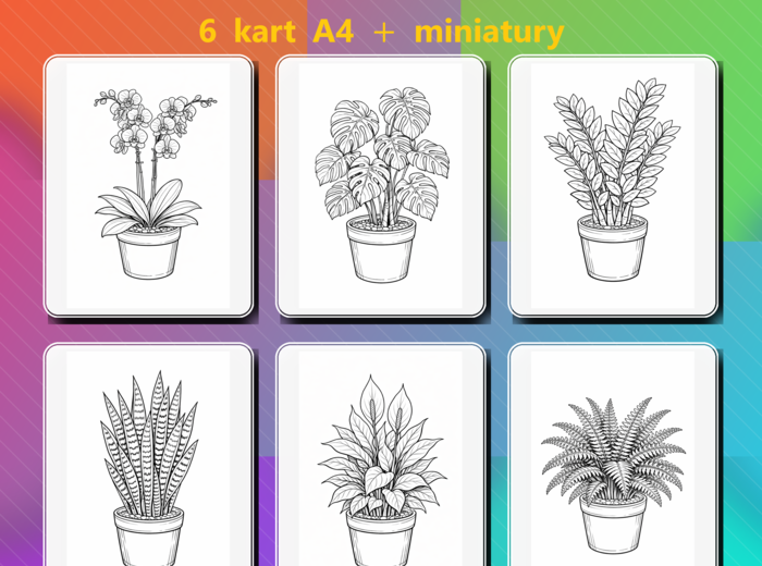 ROŚLINY DONICZKOWE - kolorowanka edukacyjna - (PDF A4, 7 stron: 6 roślin + miniatury) - przyroda/biologia