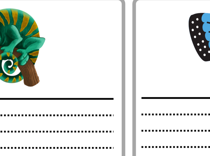 Opisz to! - karty do ćwiczenia opisu