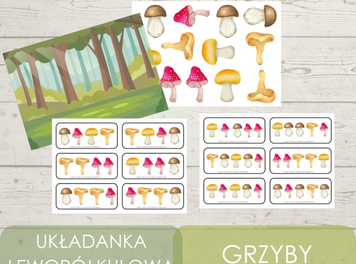 Układanka lewopółkulowa - grzyby