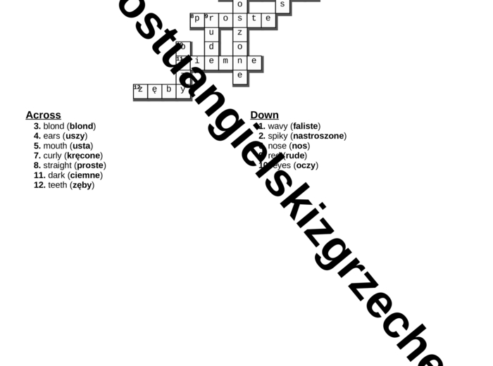 English Class A1 – Unit 4 – krzyżówki