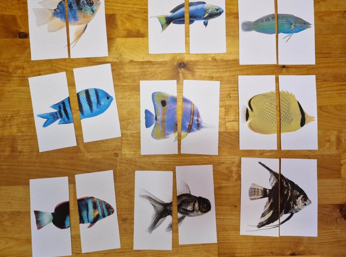 Układanka Montessori - Ryby