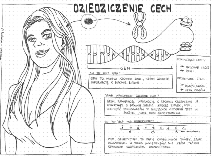 Klasa 8 - Dziedziczenie cech - sketchnotka