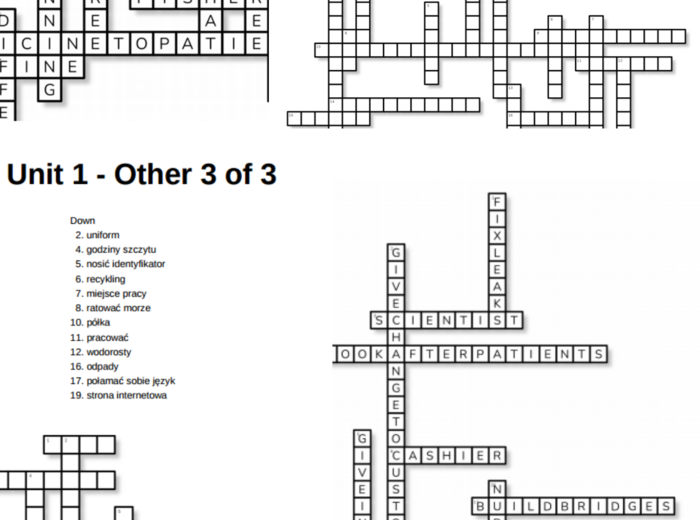 Brainy 6 – Unit 1 – krzyżówki – Jobs_Job activities/Other/Useful!_On the Internet/Workplaces