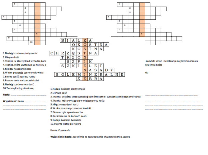 Podsumowanie lekcji biologii w klasie 7 - "Budowa kości"