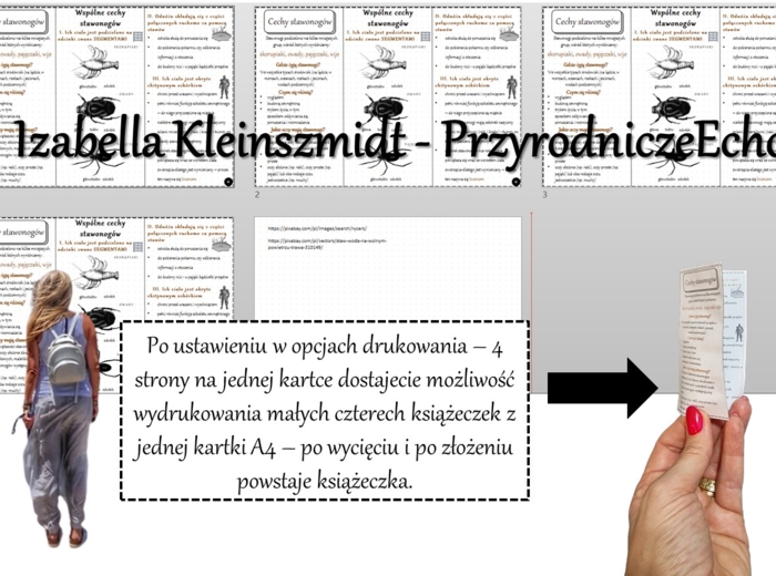 Broszurka/notatka/sketchnotka/wklejka/ściąga dla ucznia/przypomnienie dla nauczyciela w pdf. Biologia 6 „Stawonogi i mięczaki” – „Wspólne cechy stawonogów”.