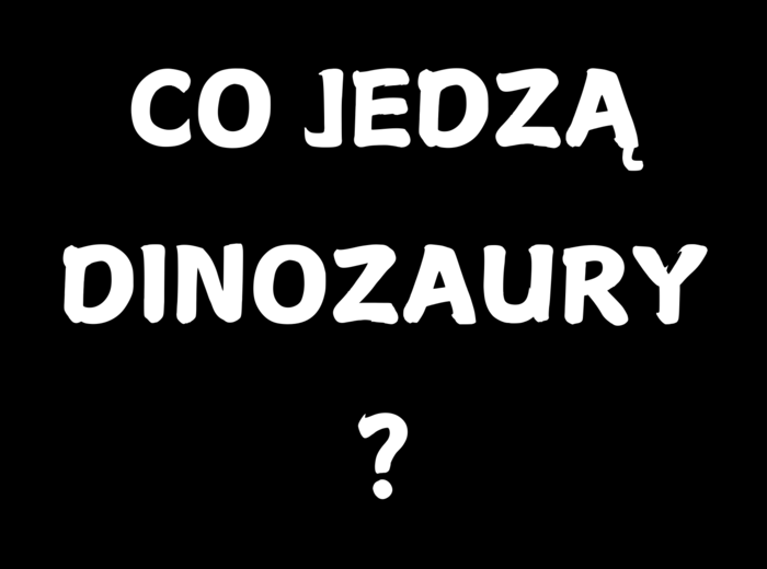 🦖DINOZAURY