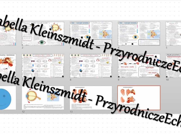 Zestaw sketchnotek i kart pracy + gratisowe linki do prezentacji multimedialnych niekomercyjnych wykonanych w genial.ly do indywidualnego pobrania i użycia do celów niekomercyjnych. Biologia 7, „Narządy zmysłów”