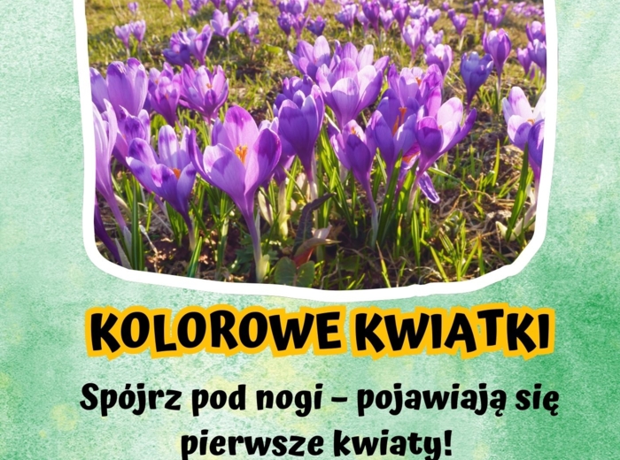 WIOSNA - zestaw materiałów edukacyjnych, grafika XXL