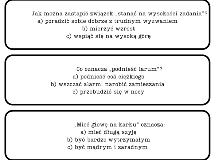 Lekcja z przesiadką-frazeologizmy w odbiciu lustrzanym.