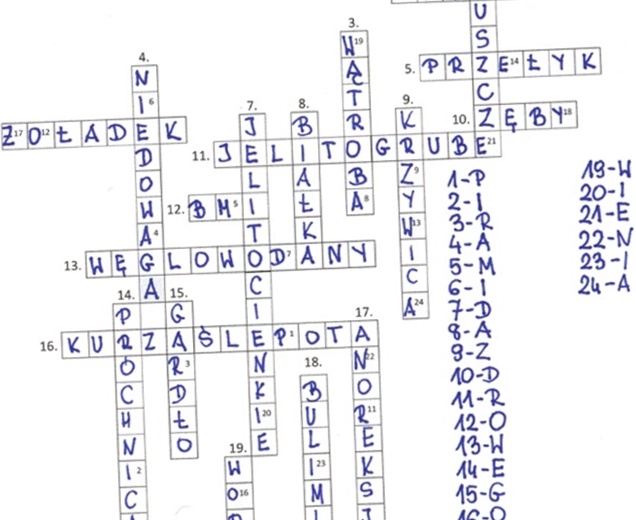 Układ pokarmowy (krzyżówka podsumowanie rozwiązanie)