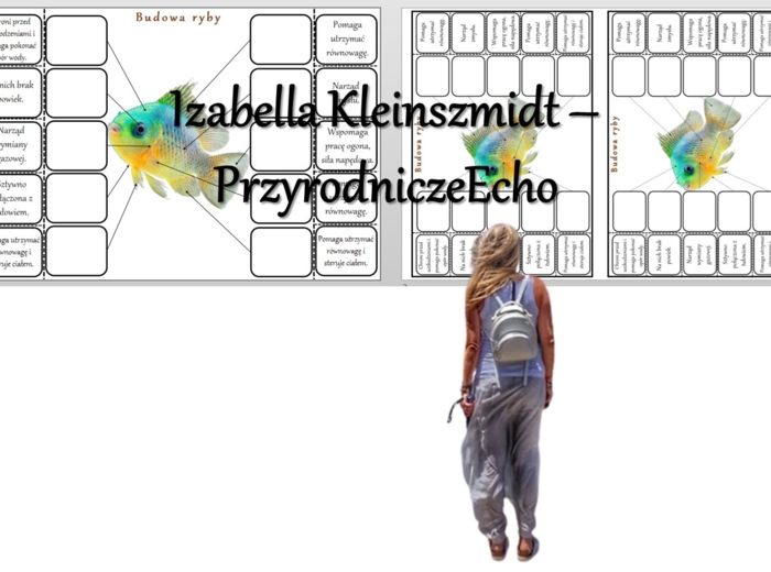 Notatka okienkowa „Budowa ryby”, „Ryby – kręgowce środowisk wodnych” w pdf. Biologia 6, dział „Kręgowce zmiennocieplne”.