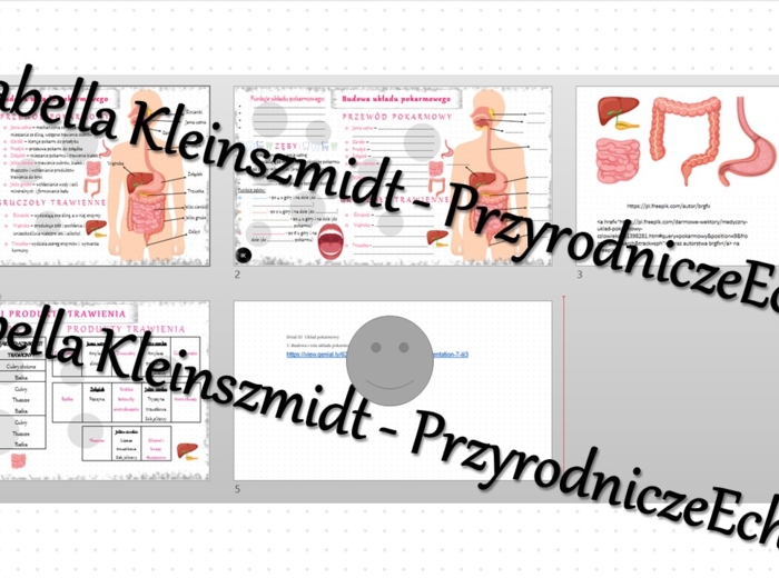Minizestaw na temat „Budowa i rola układu pokarmowego” – sketchnotka + karta pracy w power point + gratisowy link do prezentacji multimedialnej niekomercyjnej wykonanej w genial.ly do indywidualnego pobrania i użycia do celów niekomercyjnych. Biologia 7,