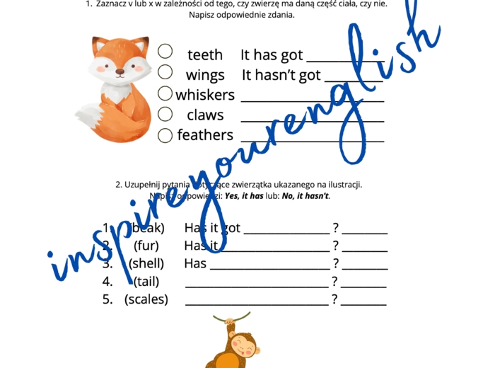 Tiger&Friends 3 - has got/hasn't got