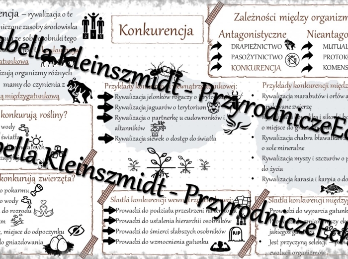 Sketchnotka - notatka „Konkurencja” wykonana w power point do edycji. Biologia 8; „EKOLOGIA”