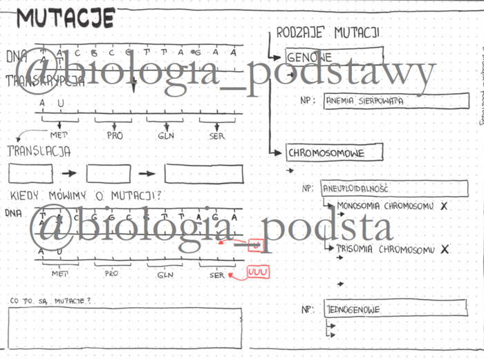 Klasa 8 - Mutacje - karta pracy