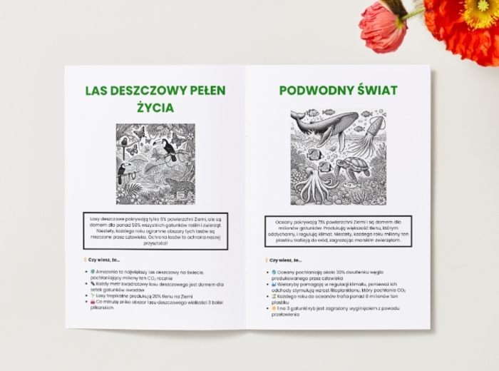 Kolorowanki ekologiczne