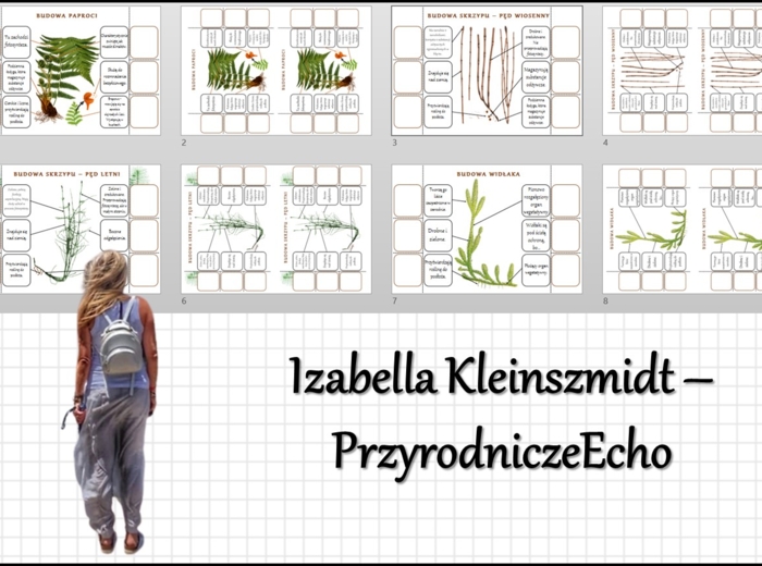 Notatki okienkowe „Budowa paproci”, "Budowa skrzypu", "Budowa widłaka" w pdf. „Paprotniki” w pdf. Biologia 5 dział „Różnorodność roślin”.