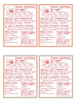 Muchomor sromotnikowy - wklejka do zeszytu