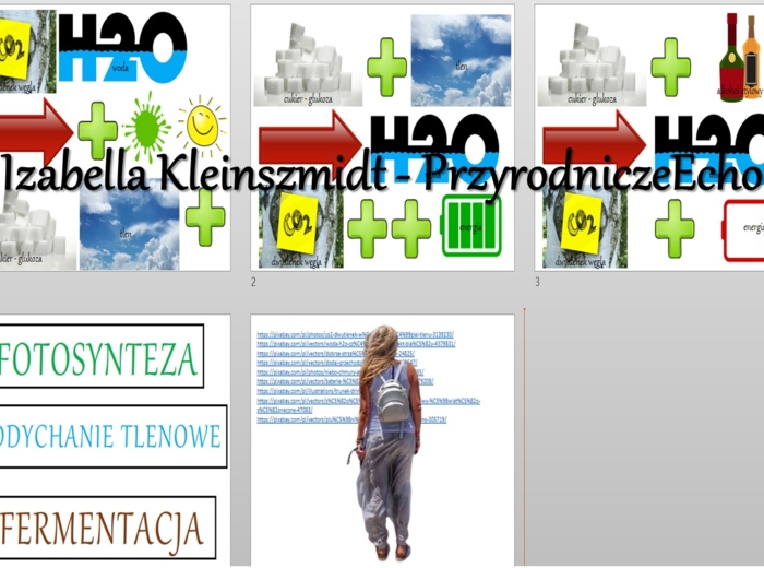 Materiał do zalaminowania/praca w grupach/układanka. „Samożywność”, „Sposoby oddychania organizmów”, „Fotosynteza/Oddychanie/Fermentacja” w pdf. Biologia 5, dział „Budowa i czynności życiowe organizmów”.