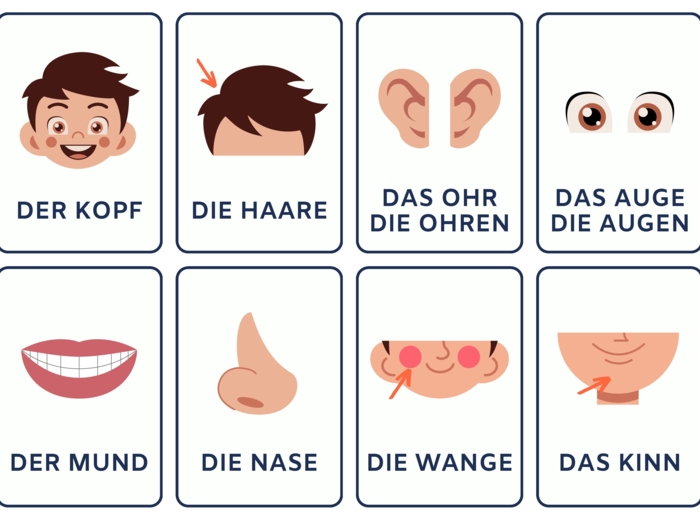 Körperteile - zestaw fiszek + obrazki do podpisania
