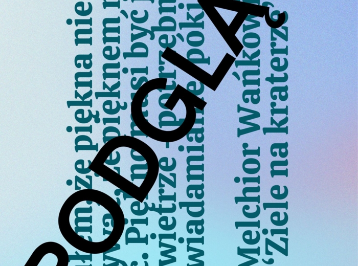 Polscy pisarze - gazetka