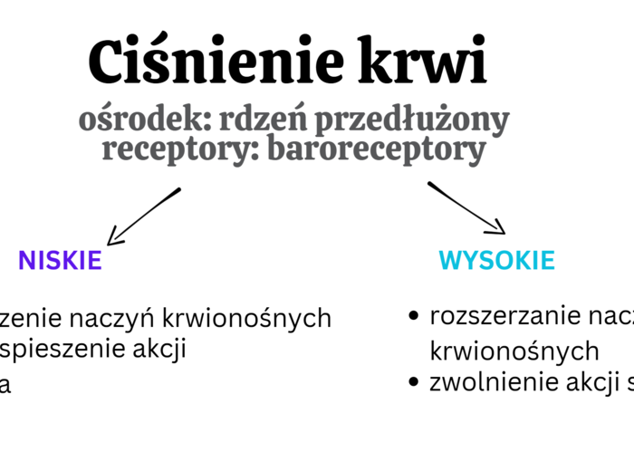 Organizm człowieka jako funkcjonalna całość + skóra KLASA 3 ROZSZERZENIE BIOLOGIA