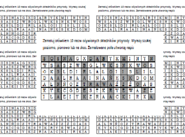 Wykreślanka na podsumowanie lekcji przyrody w klasie 4 "Przyroda i jej składniki"
