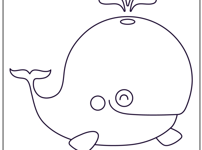 ZWIERZĘCE KOLOROWANKI