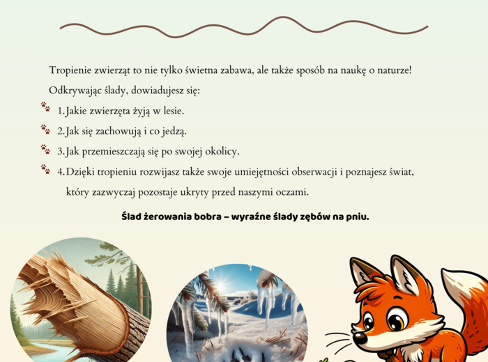 Mini-przewodnik do rozpoznawania śladów zwierząt