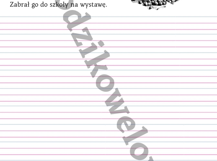 Czytanie ze zrozumieniem, układanie pytań