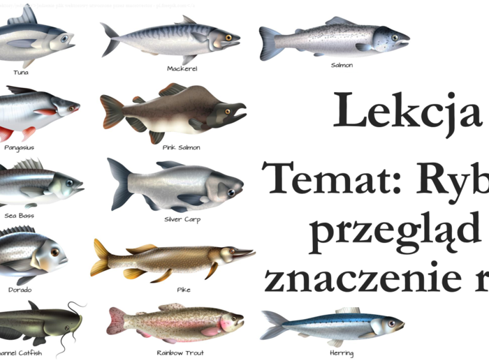 Klasa 6 - Ryby - prezentacja