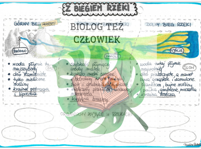 Z biegiem rzeki - kolor