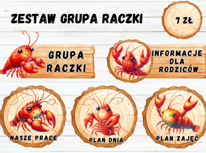 ZESTAW DRUPOWY GRUPA "RACZKI"